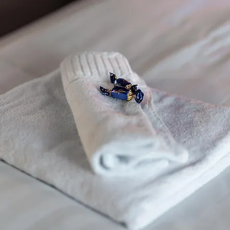 Santa's Star I Near Scv Rovaniemi